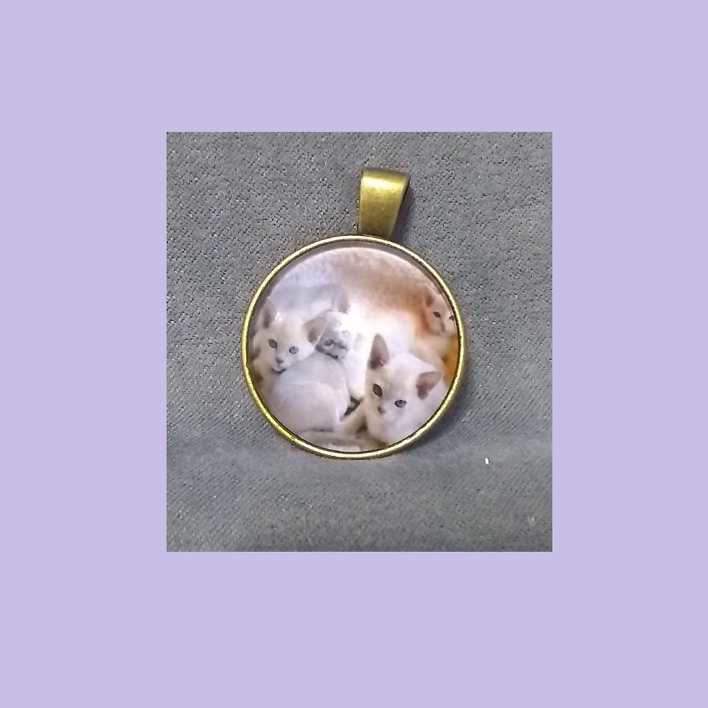New: White Kittens picture Necklace